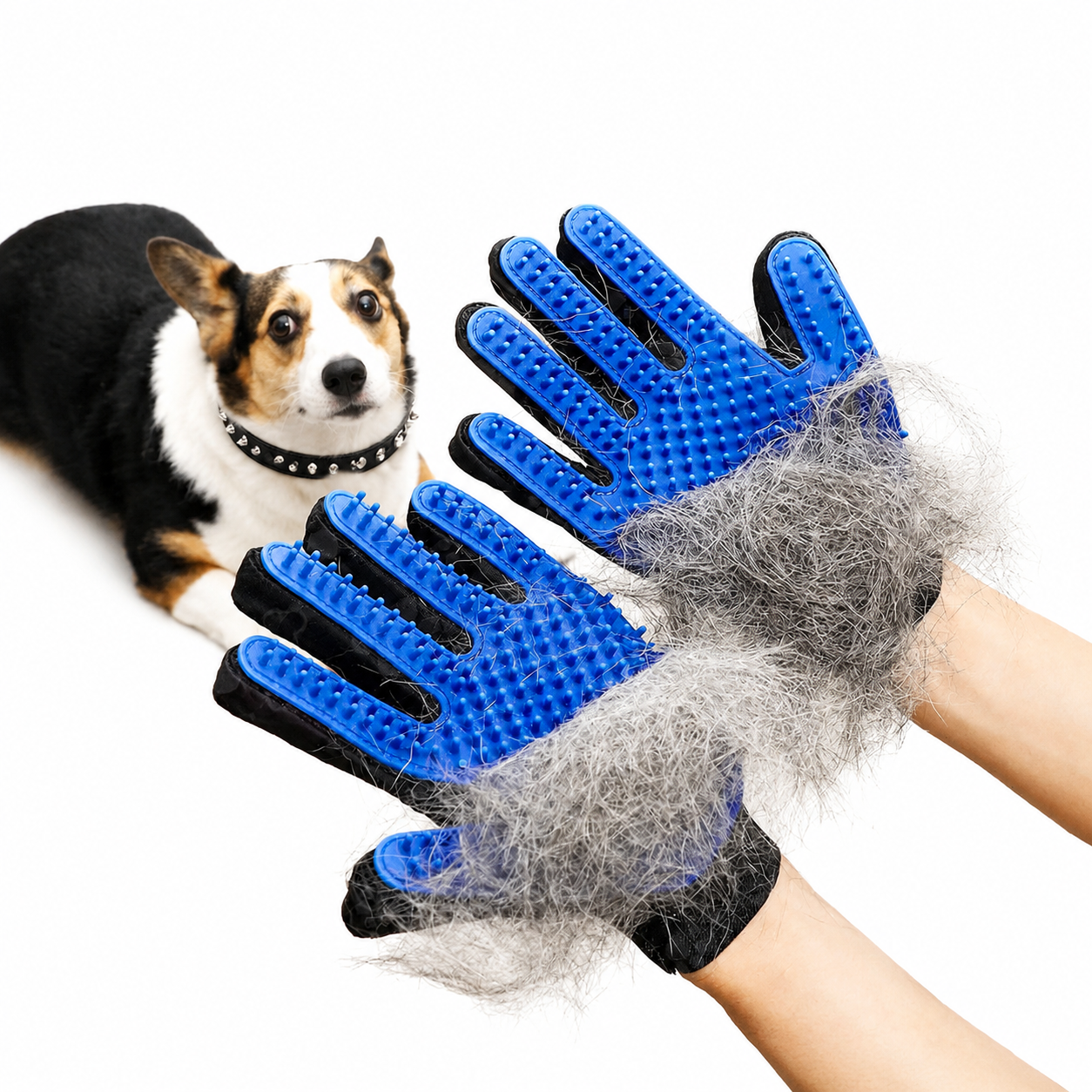 Grooming Glove