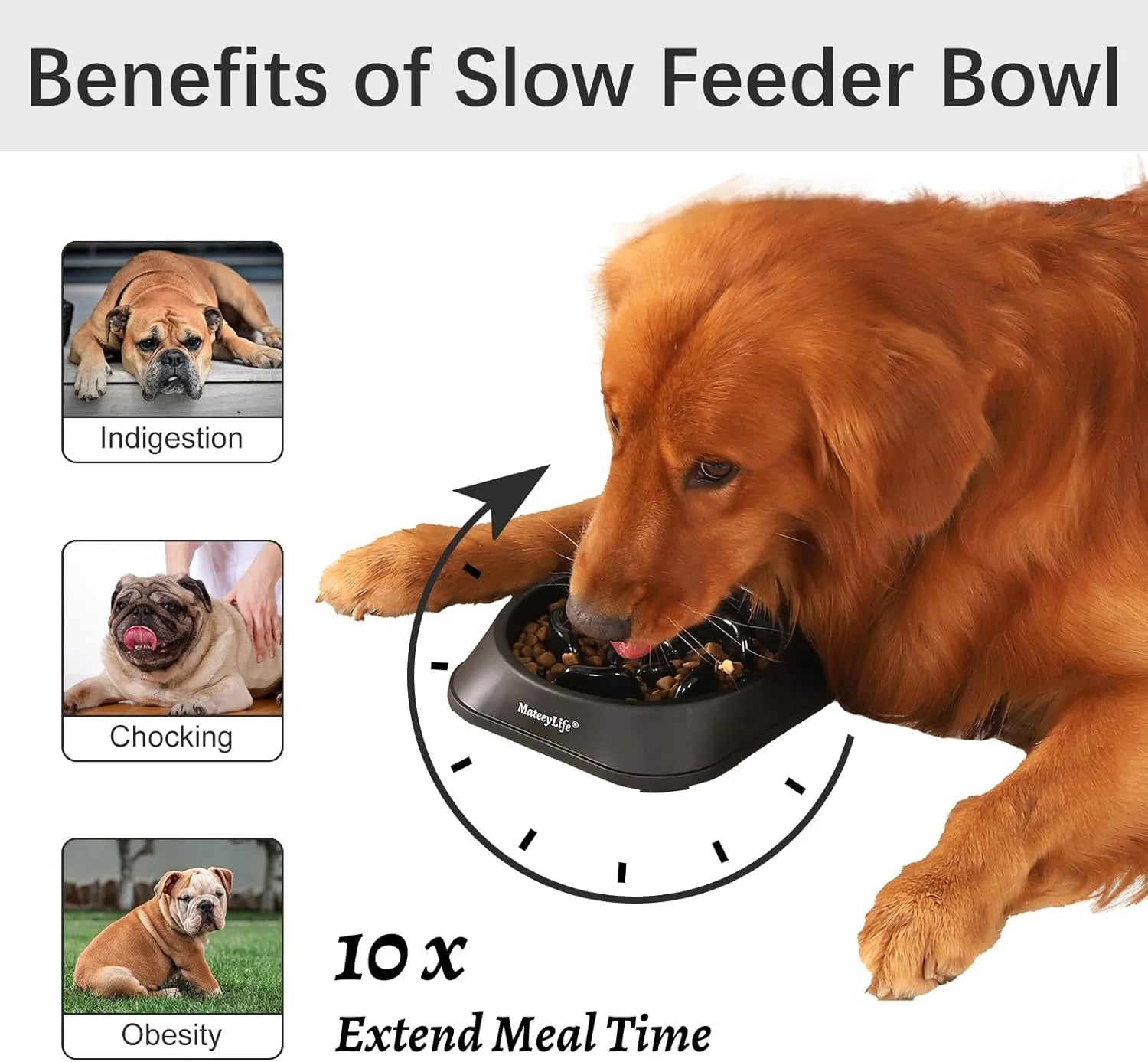 Slow Feeder Bowl 